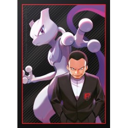 Pokémon TCG: Scarlet & Violet - Destined Rivals - Elite Trainer Box